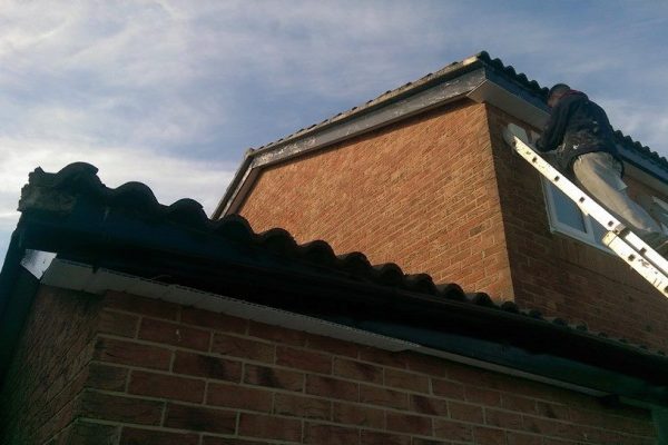 10415617_835059043198471_5021232886306028281_n